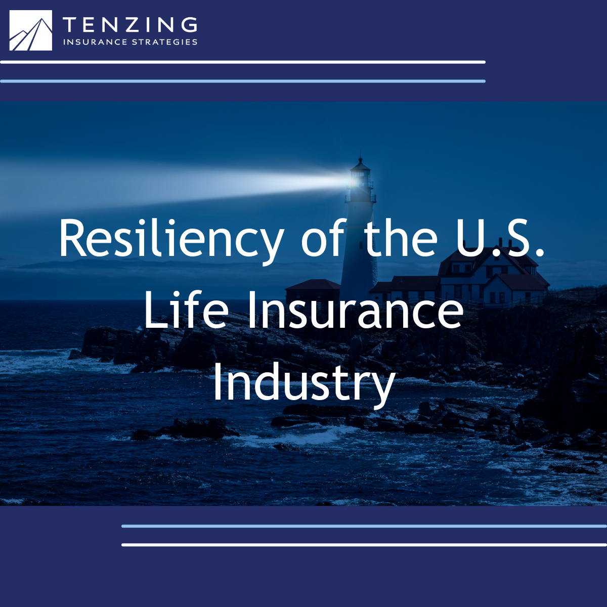 Resiliency of the U.S. Life Insurance Industry